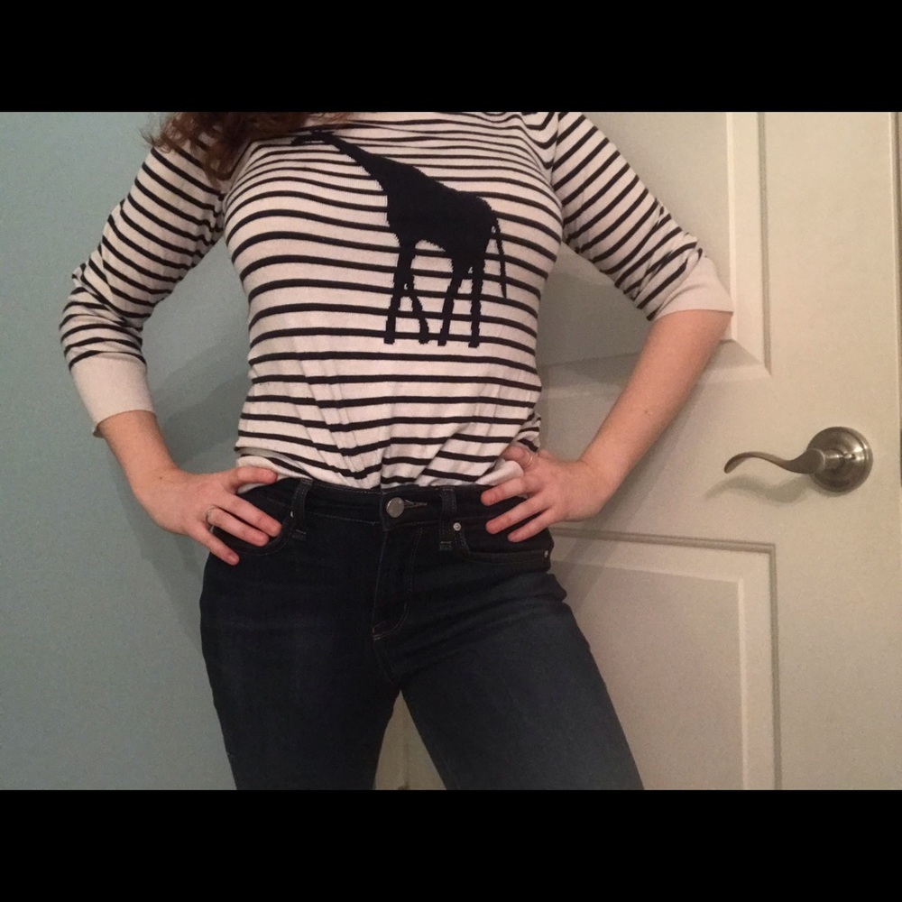 Banana Republic Striped Giraffe sweater